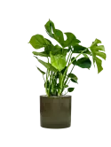 6CILGR030_2