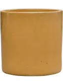 6CILH5050