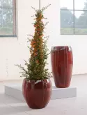 6CLRPMR52_1