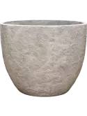 6CMPDG116