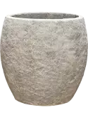 6CMPDG118