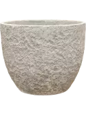 6CMPDG122