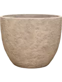 6CMPKH119