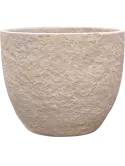 6CMPKH121