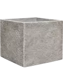 6CMSPDG02