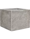 6CMSPDG04