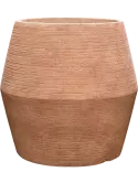 6COLPTE51