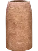 6COLVTE33