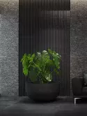 6COSMBR74_1