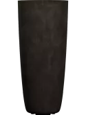 6COSMBR82