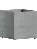 6COSMCO20