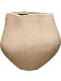 6DELORG12