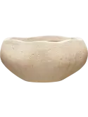 6DELORG18