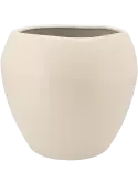 6DKK02999
