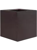 6DLI1667W