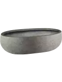 6DLIA1021