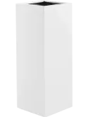 6DLIA1575