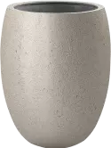 6DLIA6611