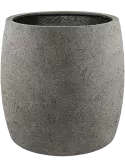 6DLIA8113