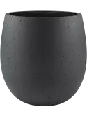 6DLIA8221