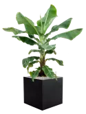 6DLIAB958_1