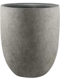 6DLIAC229