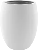 6DLIMW537