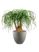 6DLINC188_1