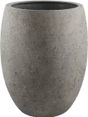 6DLINC445