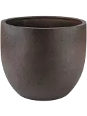 6DLIRI281