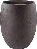 6DLIRI454