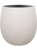 6DLIT8767