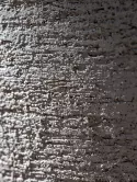 6DLIT8789_1