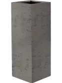 6DLIT8818