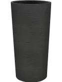 6DLIT8974