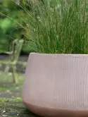 6DMP7231G_2