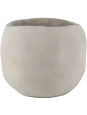 6DMP894LG