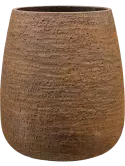 6DOLPDB12