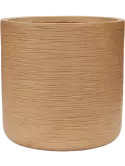 6DUNBR62C