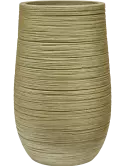 6DUNGR101