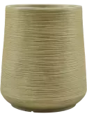 6DUNGR117