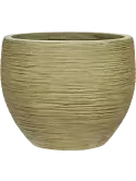 6DUNGR141