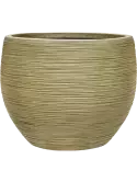 6DUNGR142