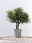 6ECPATA70_1