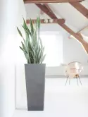 6ECPRGR70_1