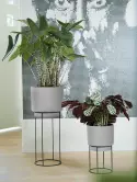 6ELHSR22C_1