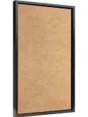 6FRAM6011
