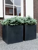 6FSTBBL70_1