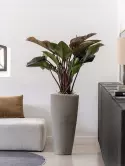 6FSTDGD14_1