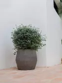 6FSTDGH38_1
